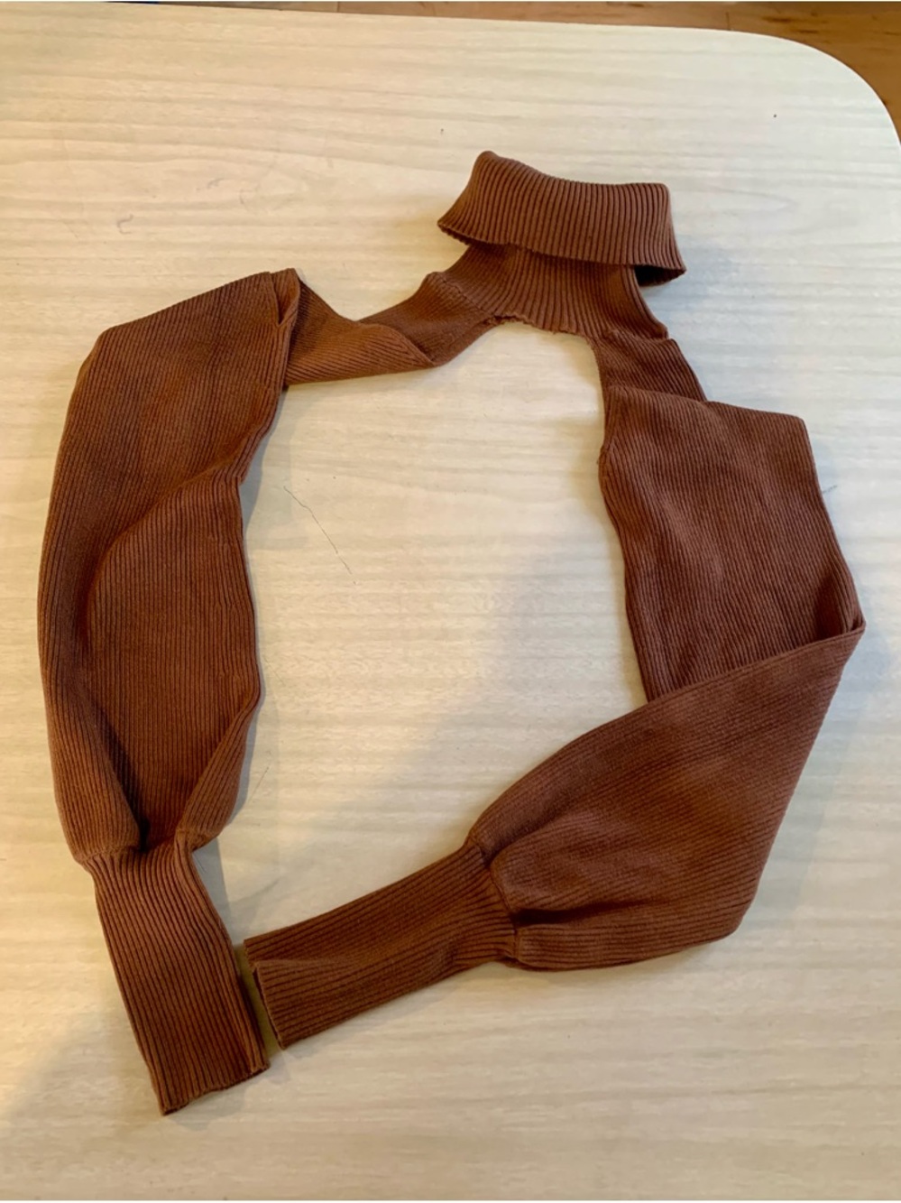 🍄3/29🍄Women’s Brown Ribbed Crop Top with Turtleneck
